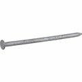 Hillman Common Nail, 4 in L, 20D, Steel, Galvanized Finish 461473